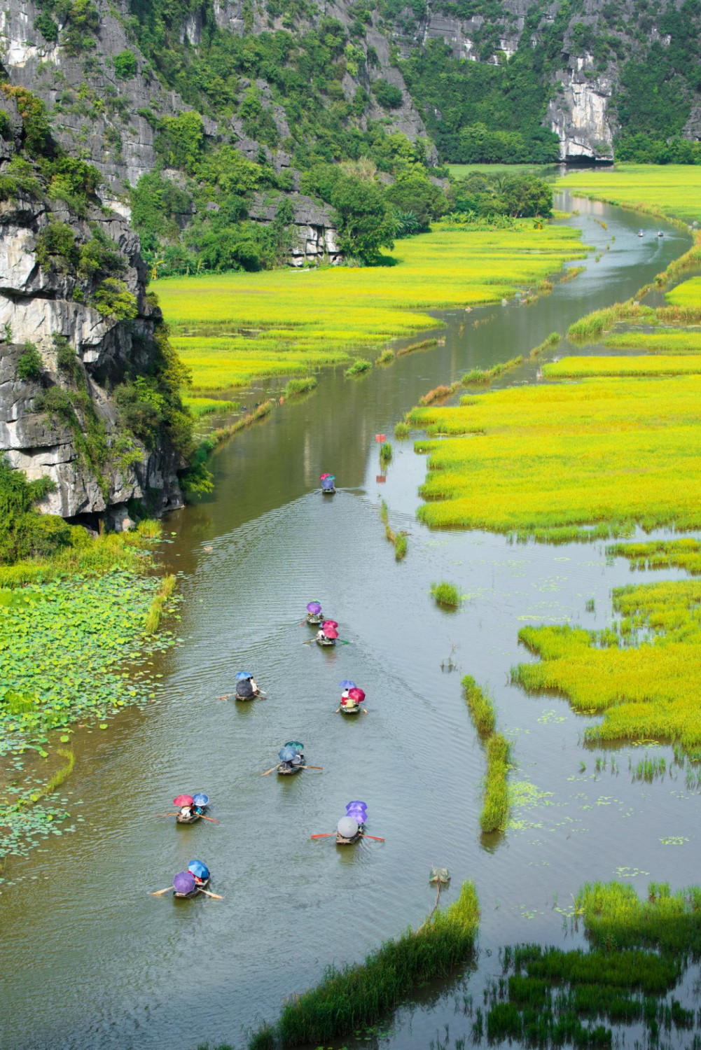 Chành xe vận chuyển hàng từ TP.HCM đi Ninh Bình nhanh chóng – Giao hàng an toàn, chi phí hợp lý